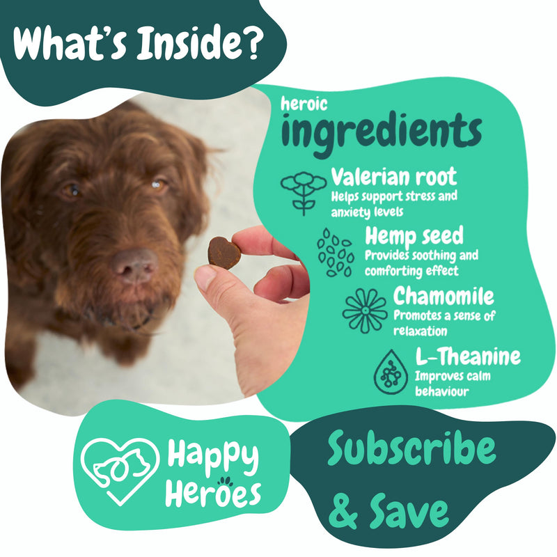 Clever Calming Dog Treats, 100% Natural Supplement, Behavioural Health, Reduces Stress, Fear, Hyperactivity, Aggression, Provides Dog Anxiety Relief & Relaxation - PawsPlanet Australia