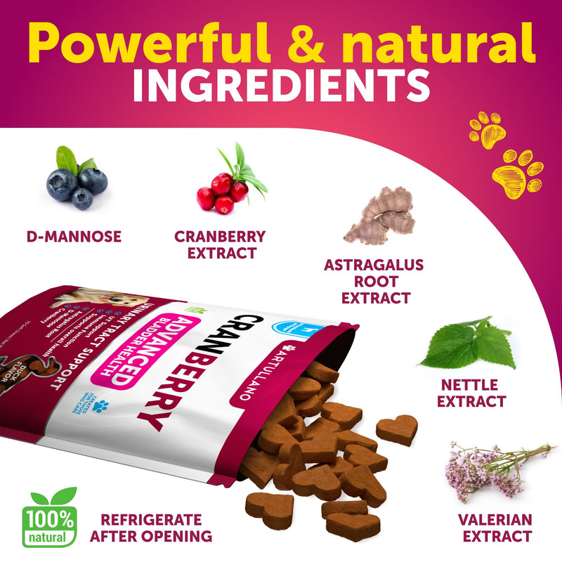 Dog UT Treats - Cranberry Chews for Dogs - Urinary Tract & Bladder Support Supplement with Natural Cranberry Extract - Tasty 70 Soft Bites for Daily Wellness with Fish Oil, Pumpkin, D-Mannose Cranberry Chews - 70 Count