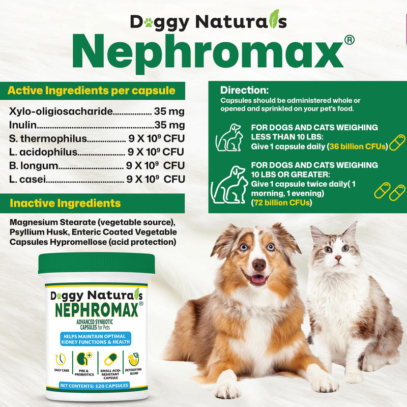 NEPHROMAX™ Synbiotic Capsules for Kidney Support for Dogs & Cats - 36 Billion CFU-Advanced Next-Generation Enteric detoxifying Blend of Pre & Probiotics Kidney Support U.S.A (120 Small Capsules) 120 Caps