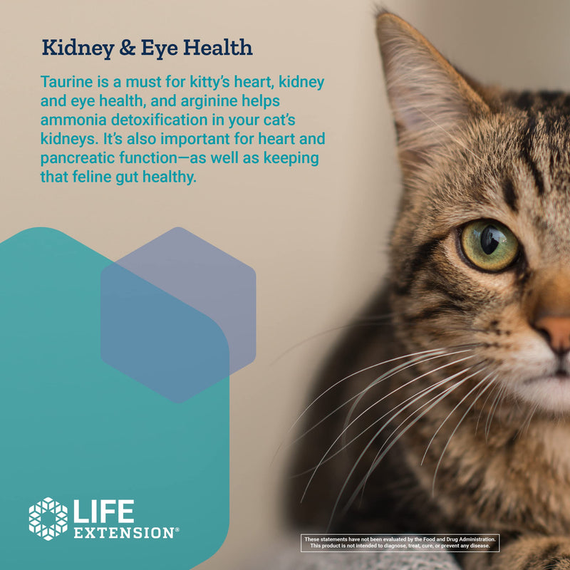 Life Extension Cat Mix – For Heart, Kidney & Pancreatic Function + Gut Health –with Vitamins & Essential Nutrients - Formula For Kitty - Gluten-Free, Non-GMO – Net Wt.100 Grams (85 Servings) - PawsPlanet Australia