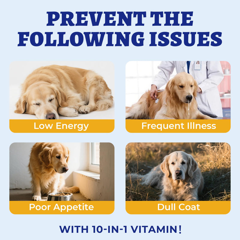 260 Bites Wellix 10-in-1 Dog Vitamins - Multivitamin for Dogs Immune Supports,Boost Hip&Joint,Skin&Coat,Liver&Gut Health -Dog Antioxidant Supplements 10-in-1 Multivitamin 260g