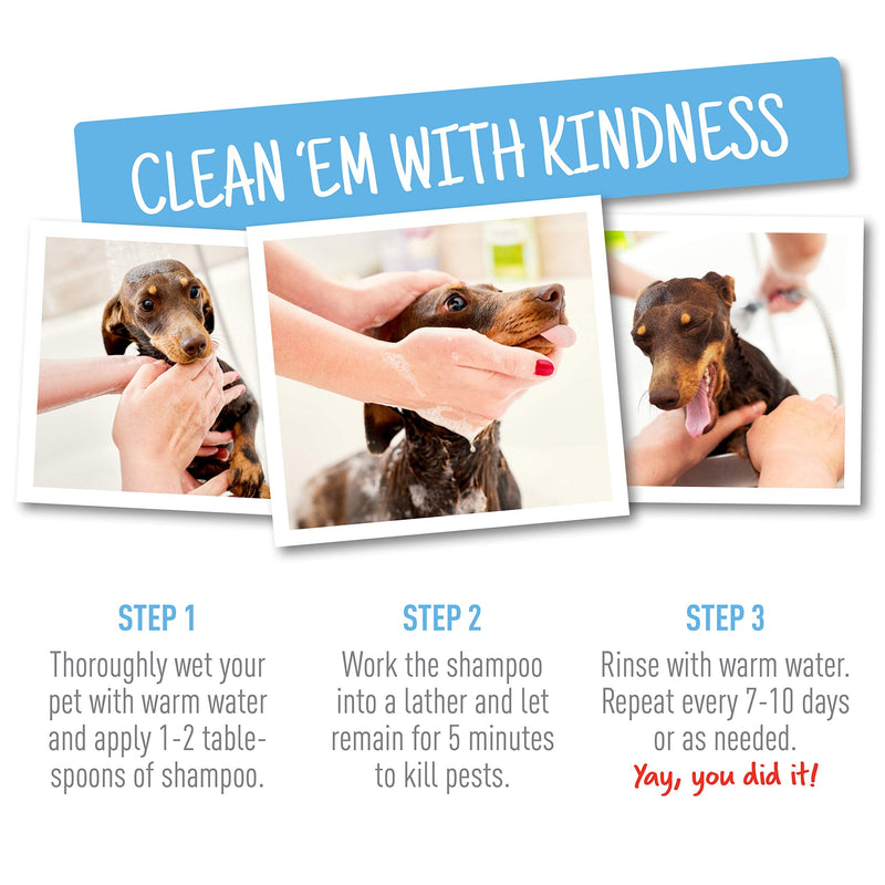 Adams Plus Flea and Tick Shampoo with Precor for Cats and Dogs, 24 Ounces - PawsPlanet Australia
