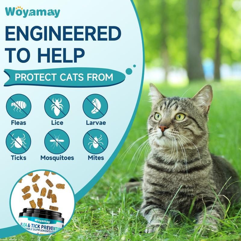 Woyamay Cat Flea Care Bundle – Flea Prevention Soft Chews + Flea & Itch Relief Crunchy Chews, Skin, Coat, Gut & Immune Support, Daily Oral Flea Treatment for Cats