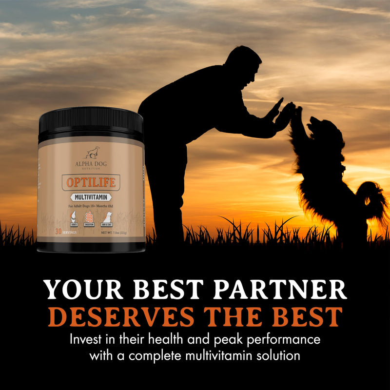 OptiLife Dog Multivitamin Powder - Adult Dog Multivitamin with Probiotics, Allergy Support, Joint Support, Skin & Coat Support - Dog Vitamins and Supplements - Multivitamin for Dogs (30 Servings) 30 Servings - PawsPlanet Australia
