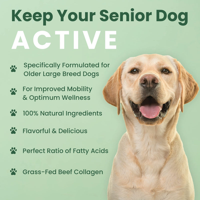 Veterinary Naturals Hemp & Hips Joint Supplement for Dogs/Supports Relief from Hip and Joint Pain in Large, Aging Dogs (Regular, Rotisserie Chicken)