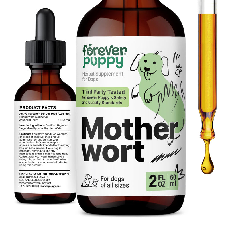 Forever Puppy Motherwort Drops for Dogs - Heart Support - Motherwort Herb Extract Supplement - Liquid Dog Vitamins and Supplements - Sugar & Alcohol-Free - 2 fl oz