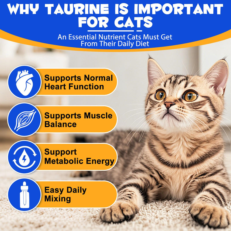 Taurine Liquid Drops for Cats – Essential Amino Acid Supplement – Easy-to-Use Liquid for Daily Nutritional Support & Overall Feline Wellness – Natural Chicken Flavor, 60ml