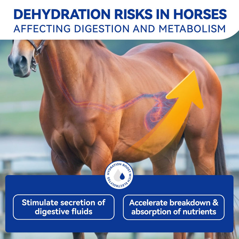 Horse Electrolytes Powder, Electrolyte for Horses with Sodium & Potassium, Equine Hydration Supplement 420g Box