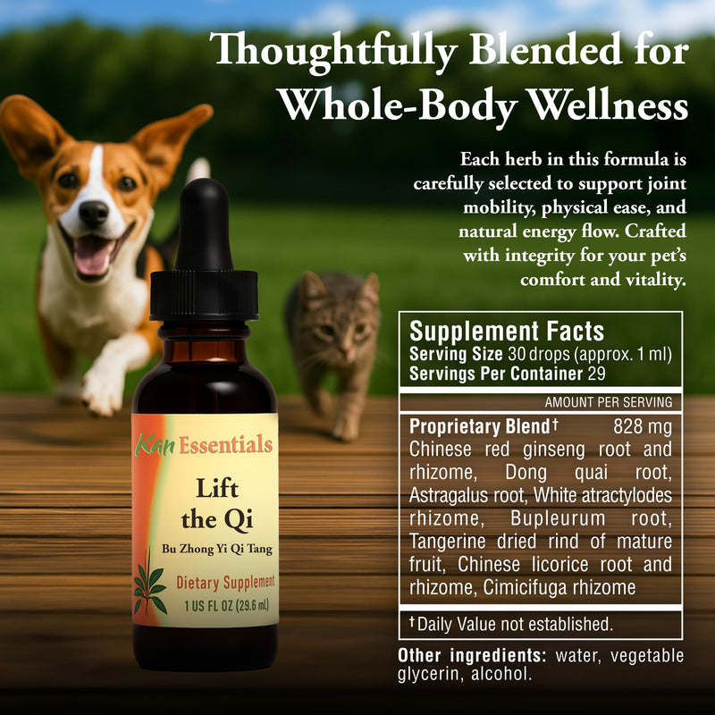 Kan Herb Company Lift the Qi – Traditional Chinese Herbal Blend for Dogs and Cats to Support Energy, Vitality, Digestion, and Overall Wellness, Liquid Herbal Supplement for Pets, 1 fl oz