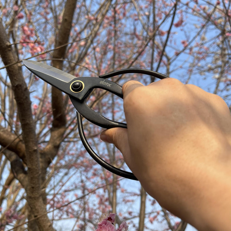 8 Inch Full-Steel Forged Precision Long Ohkubo Garden Shears – Ultra-Sharp Bypass Pruner for Delicate Shoots & Leaves