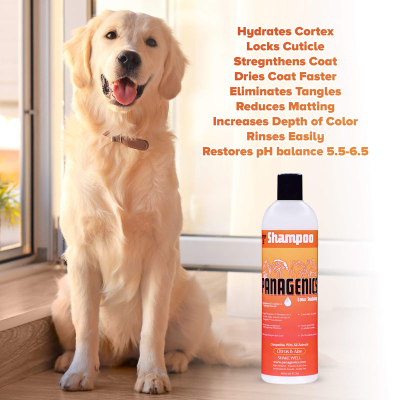 [Australia] - Panagenics | Pet Shampoo - Safe for ALL animals, Unscented, Contains Citrus and Aloe Active Ingredients - 16 ounce bottle 