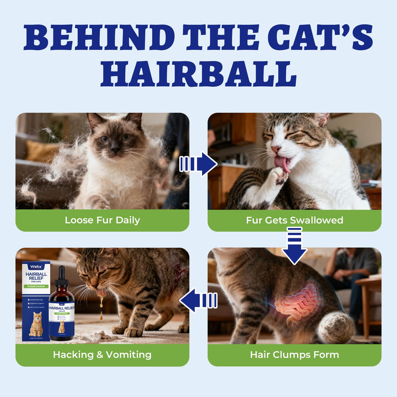 Wellix 120ml Cat Hairball Remedy Drops, Hairball Treatment & Relief for Cats, Natural Cat Furball Control Treats with Psyllium Husk, Omega 3, Support Skin & Coat, Digestive Health-Chicken Flavor Hairball Control