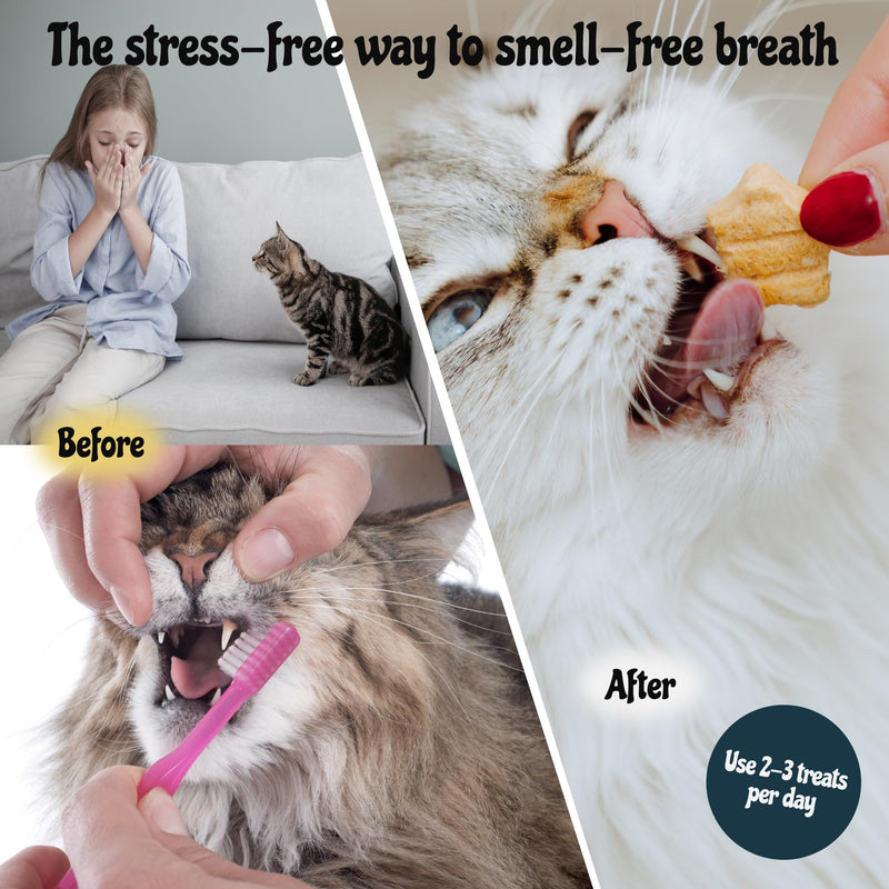 MalsiPree Cat Dental Treats, 32 Count - Freeze Dried Chicken Chews for Cats & Kittens - Fresh Breath & Tartar Control - Star Shape Snack for Cats - High Protein Healthy Snack, Low Calorie Pet Rewards