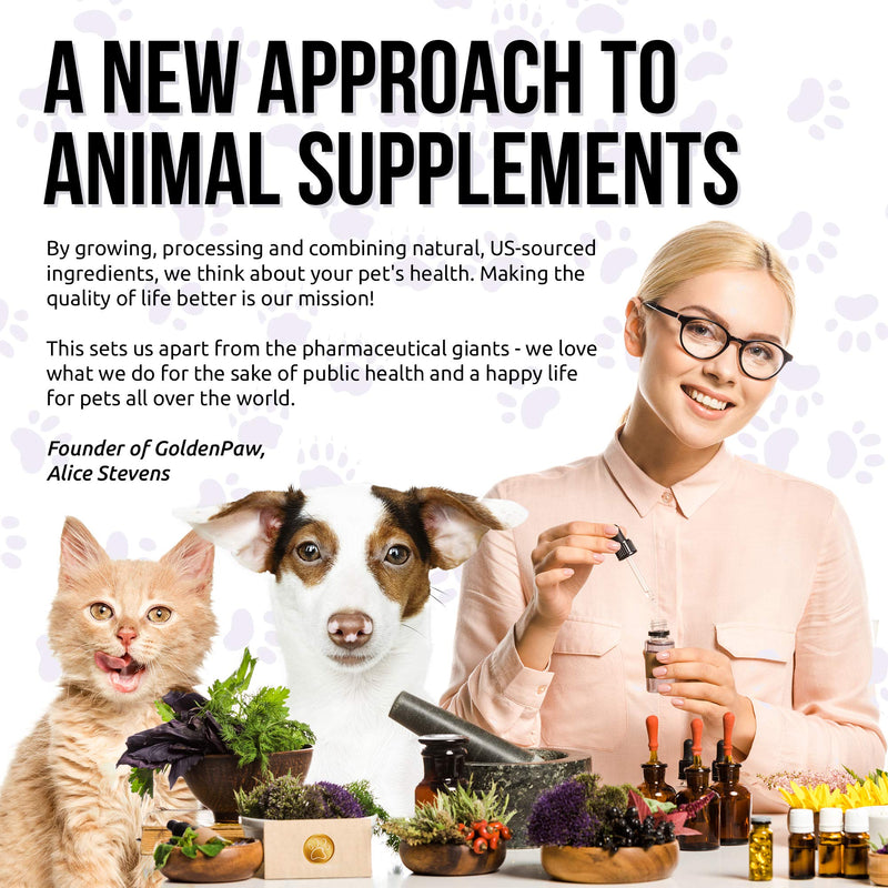 10 In 1 Cat & Dog Multivitamin - Hip & Joint Vitamins For Dogs + Vitamins C, D, B1-12 - Cranberry Supplement For Dogs & Cat Vitamins - Bladder, Kidney, Skin, Joint Support - Glucosamine Dog Supplement - PawsPlanet Australia