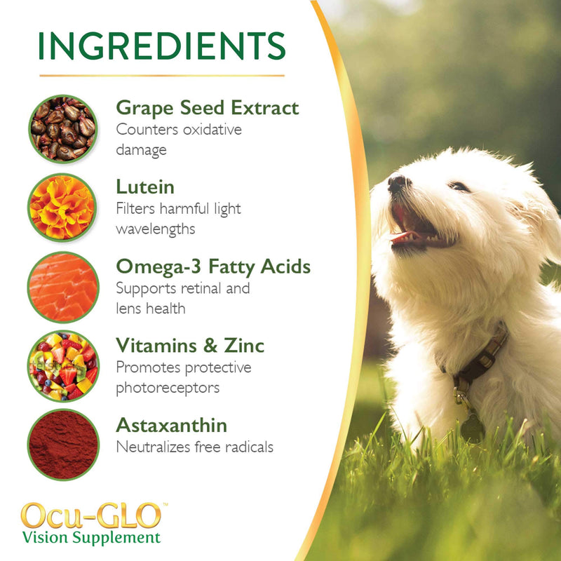 Ocu-GLO PB Vision Supplement - Easy to Administer Powder Blend with Lutein, Omega-3 Fatty Acids, Grape Seed Extract and Antioxidants to Promote Eye Health Small Dog & Cats - PawsPlanet Australia