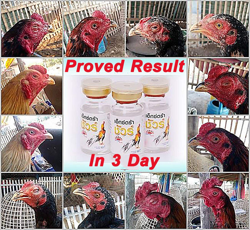 EXTER Sure Rooster Booster Health Vitamin Support Fast Result, Stimulates & Improved Immunity Feed Nourishing Poultry (EXTER Sure Increasing Fast Energy 10 ML.) - PawsPlanet Australia