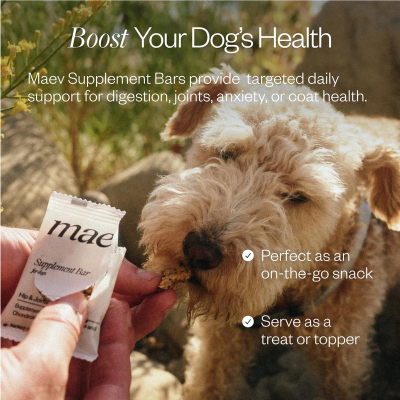 MAEV Human-Grade Hip & Joint Supplement Bars | Natural Support for Healthy Joints & Mobility, 30 Count 30 Count (Pack of 1)