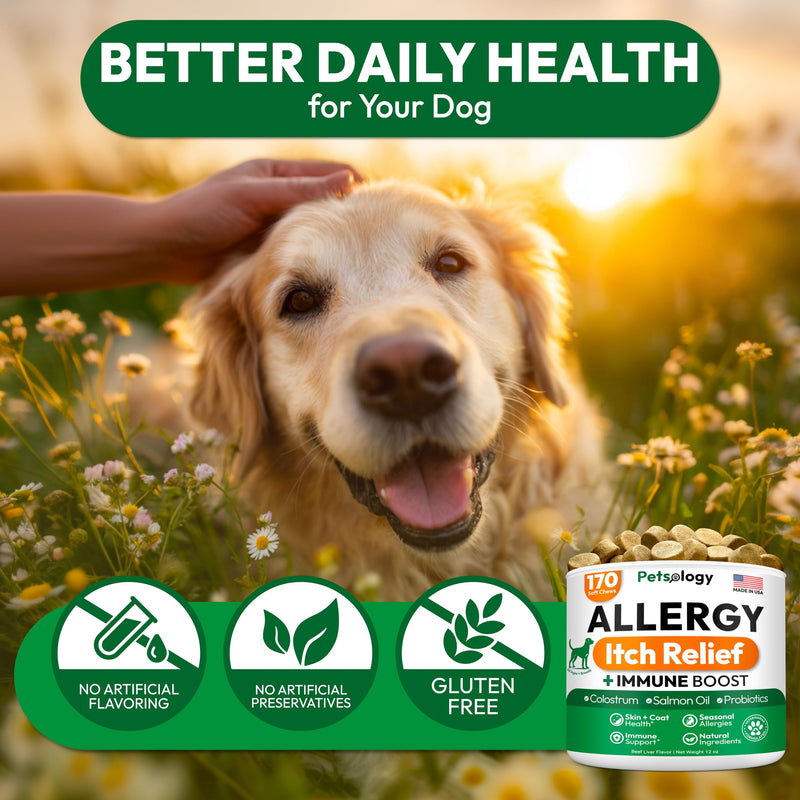 Dog Allergy Relief Chews - 170 Dog Allergy Chews - Itch Relief for Dogs - Omega 3 Fish Oil, Probiotics For Itchy Skin & Hot Spots Allergies, Paw Licking, Dry Skin & Coat Supplement - Beef Liver Flavor 170 Chews Allergy Skin & Coat Chews