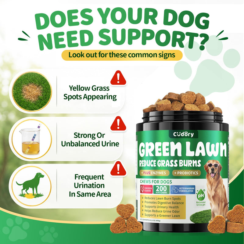 Dog Urine Neutralizer for Lawn - Green Grass Chews for Dogs, 200 Chew Female Pee Grass Burn Spot by Dog Urine, Gut Health Probiotics & Enzymes, Helps Yard Stay Green, with Cranberry for Urinary Tract