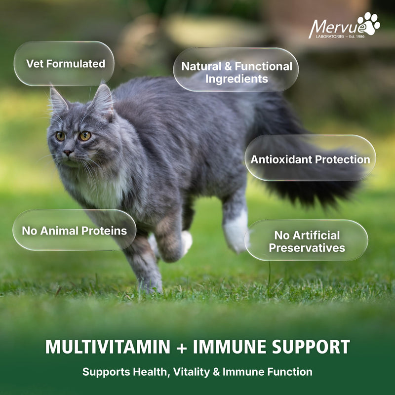 Mervue Multivitamin + Immune Support for Cats – Pre-Measured Cat Multivitamin Gel Packets for Daily Vitality – Formula with Beta Glucans and Taurine for Cats for Natural Defenses (14, 5ml Packets)