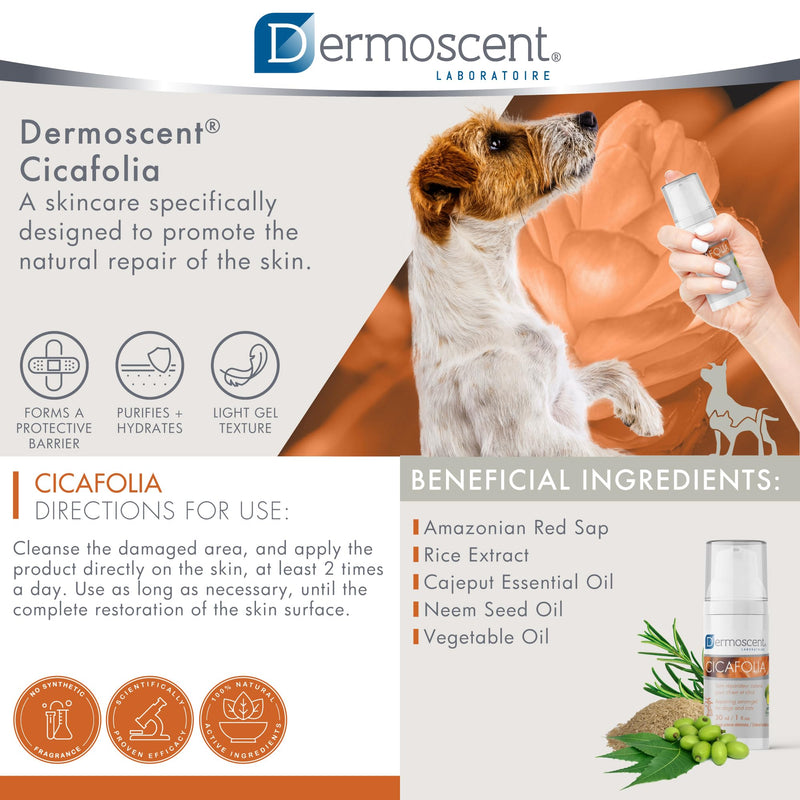 Cicafolia Skin Repair Gel-Serum for Dogs and Cats | Natural Skin Healing Solution | 30 ML