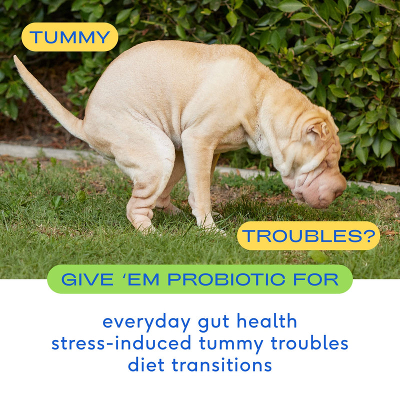 Native Pet Omega Oil for Dogs (8 oz.) & Probiotic for Dogs (4.1 oz.) - PawsPlanet Australia