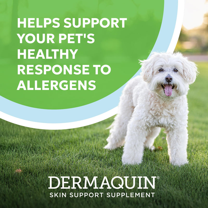 Nutramax Dermaquin Skin Support Supplement for Small to Medium Dogs and Cats, Supports Healthy Response to Allergens, with Hardy Kiwi, Omega-3s, and More, Tasty Soft Chews, 60 Count (Pack of 2)