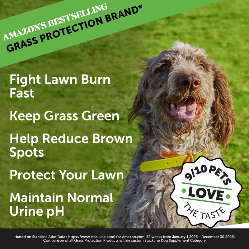 Pet Honesty Grass Green Max Strength Burn Spot Chews for Dogs - Premium Formula - Dog Pee Lawn Spot Saver Supplement Caused by Dog Urine, Dog Antioxidant with Probiotics + DL-Methionine (Duck 90 ct) Max Strength - Duck - PawsPlanet Australia