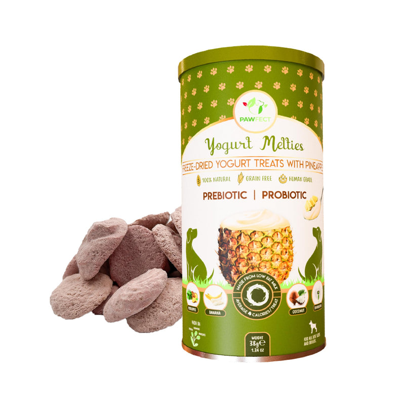 Pineapple Yogurt Melties Prebiotics and Probiotics for Dog | Promotes Immunity, Supports Gut Health | May Help Support Yeast Balance | May Help in Occasional Itchy Skin | Grain-Free (1.3oz)