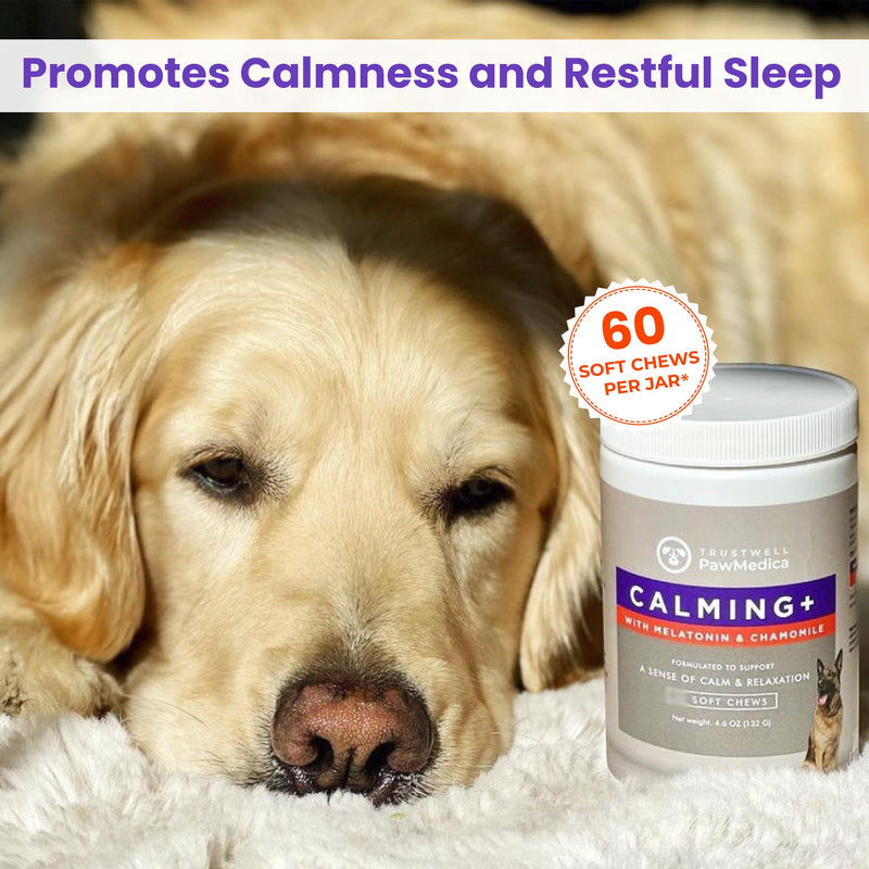 PawMedica Calming Chews for Dogs - Dog Sleep Supplement Melatonin for Dog Anxiety - Recommended Dog Calming Treats for Separation Anxiety and Barking Stress - Dog Melatonin Calming Bites for Fireworks 60 chews