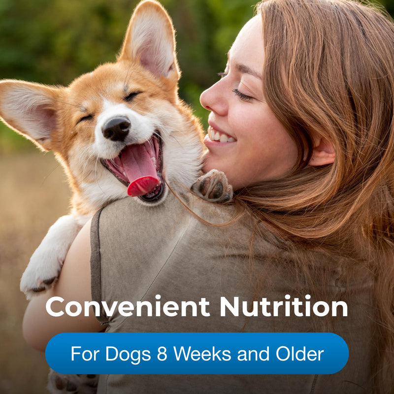 Pet-Ag High Calorie Gel Supplement for Dogs - 5 oz - Chicken Flavor - Provides Extra Calories for Dogs 8 Weeks and Older - Easy to Digest - PawsPlanet Australia