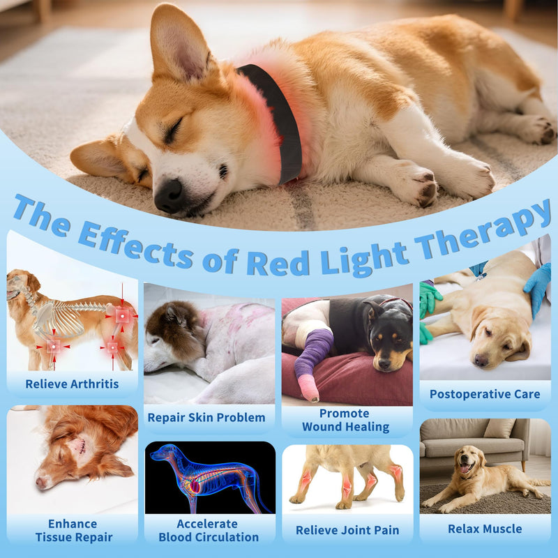 Red Light Therapy Collar for Dog, 660nm & 810nm & 980nm Infrared Red Light Vet Therapy Device for Pet, Cold Laser Therapy Device for Dog Tissue Repair, Pain Relief Arthritis, Promote Blood Circulation Red Light Therapy for Dog