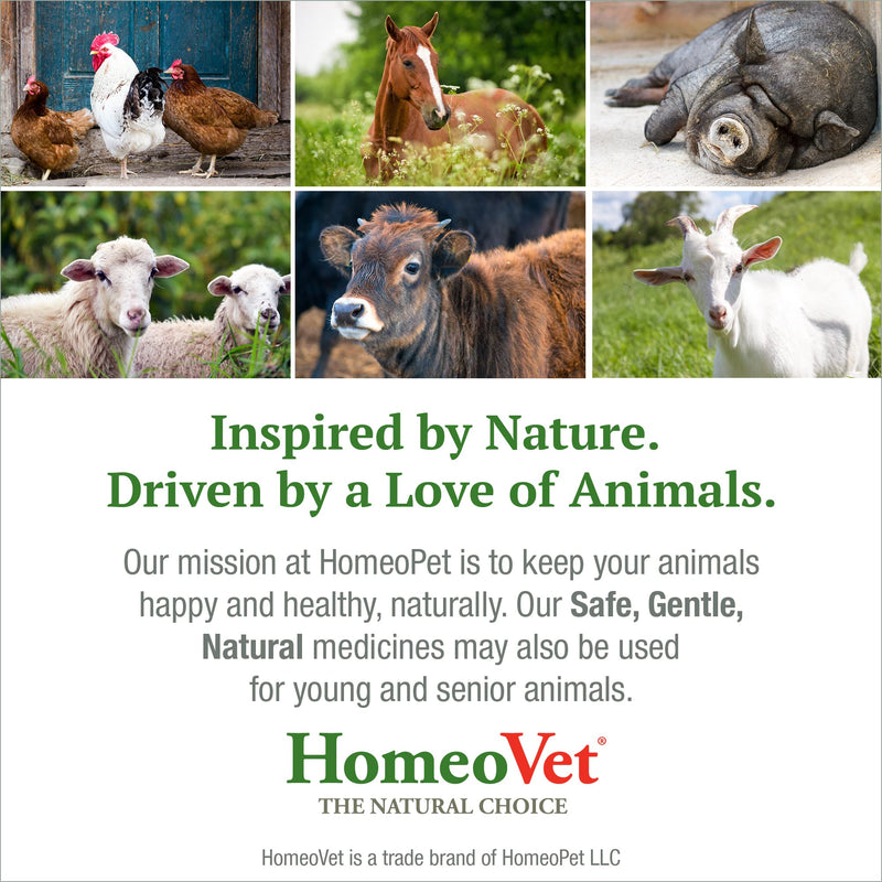HomeoPet Avian Digestive Upsets, Safe and Natural Digestive Support for Poultry and Pet Birds, Bird Supplement, 15 Milliliters - PawsPlanet Australia