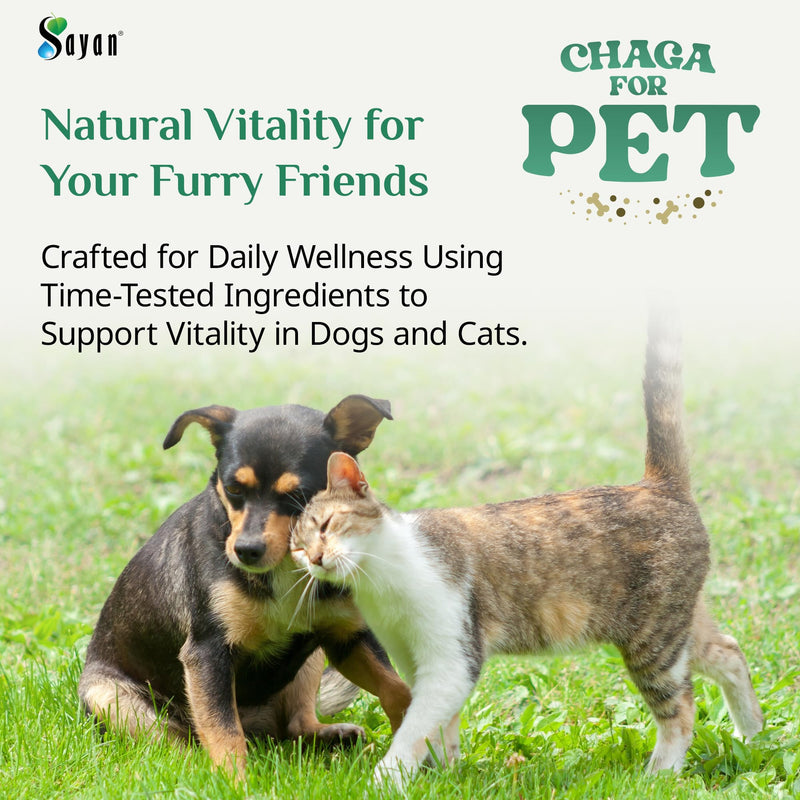 Sayan Chaga + Shilajit Pet Supplement (30 Sachets) – All-Natural Adaptogen Blend for Dogs & Cats – Immune, Joint, Energy & Digestive Support – Herbal Blend – 100% GMO-Free, Vet-Formulated