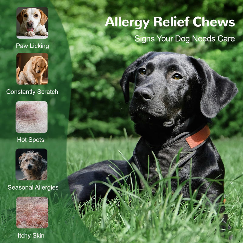 Dog Allergy Chews 150ct, Dog Itch Relief Chews for Large Dogs Paw Licking Itchy Skin Seasonal Allergies, Probiotics with Omega-3 Turmeric Astragalus for Coat Immune Supplement Chicken 150 Chews