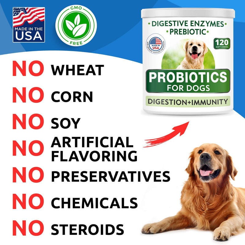 Dog Probiotics Chews - Gas, Diarrhea, Allergy, Constipation, Upset Stomach Relief, with Digestive Enzymes + Prebiotics - Chewable Fiber Supplement - Improve Digestion, Immunity - Made in USA 120 chews - PawsPlanet Australia