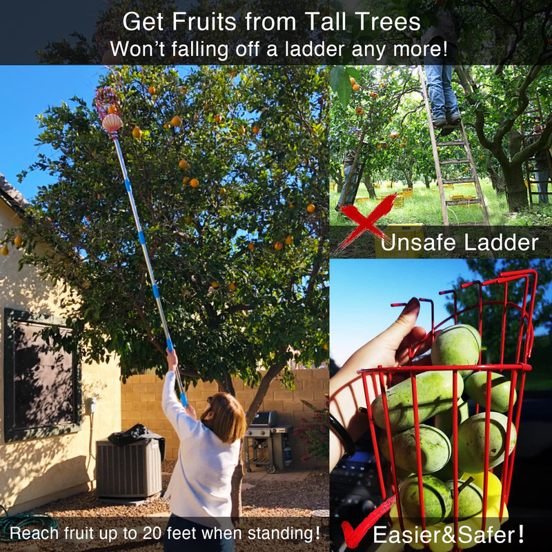 DonSail Fruit Picker Pole Tool with Basket Telescoping Long Handle, 35-65 Inch Adjustable Apple Orange Picker Pole Tool with Basket for Avocado Acorn Lemon Pear Mango Tree Picker 35-65"