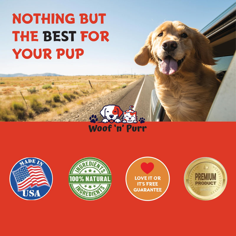 Natural Dog Antibiotics - Antibiotics for Dogs - Supports Immune Health, Itch Relief, Allergy Relief & More - Antibiotic for Dogs - Itch Relief for Dogs - Yeast Infection Treatment for Dogs - 1 oz - PawsPlanet Australia