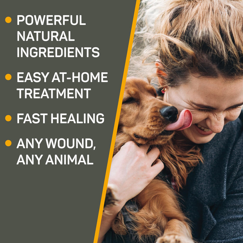 Absorbine Silver Honey Hot Spot & Wound Care Ointment for Dogs, Cats, Small Animals, 2oz Tube - PawsPlanet Australia