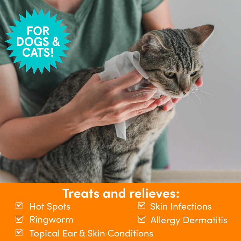 Nootie Medicated Dog Wipes, Chlorhexidine & Miconazole Pet Wipes for Dogs & Cats - 2” Small Wipes, 60 Count - Sold in Over 10,000 Vets & Pet Stores 60 Count (Pack of 1) - PawsPlanet Australia