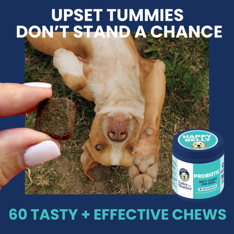 Under the Weather Probiotic Chews for Dogs | Daily Probiotics and Prebiotics for Digestive Health Gut | Balance and Immune Support | Vet Formulated Dog Digestive Supplement | Chicken Flavor | 60 Count