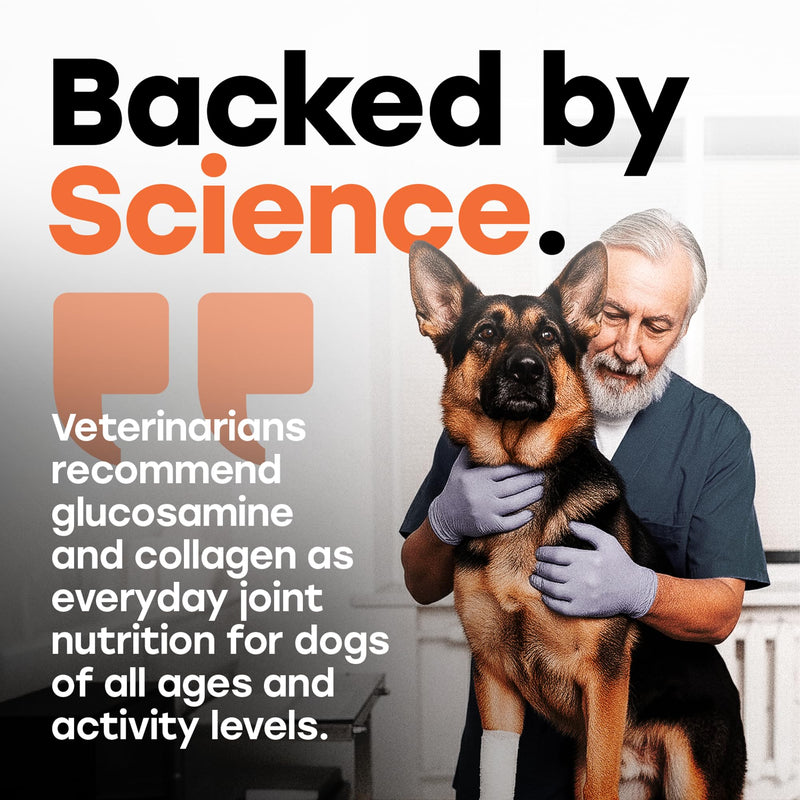 Glucosamine Chondroitin for Dogs – Hip and Joint Supplement with MSM, Hemp & Turmeric – Advanced Mobility Chews for Senior & Large Breed Dogs, Joint Pain Relief, Beef Flavor Hip & Joint Support - Beef 1 Pack