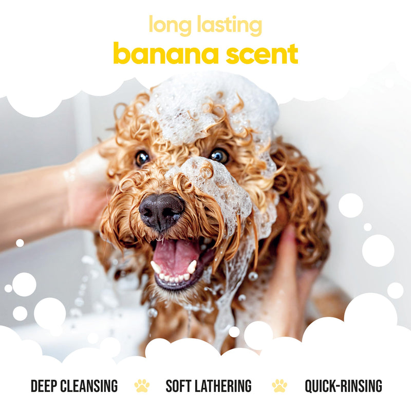 Banana Dog Shampoo by Buddycare | Deep Cleansing Shampoo for Dogs | Banana Scented | with Aloe Vera and Pro Vitamin B5 (33.8oz) 33.8oz - PawsPlanet Australia