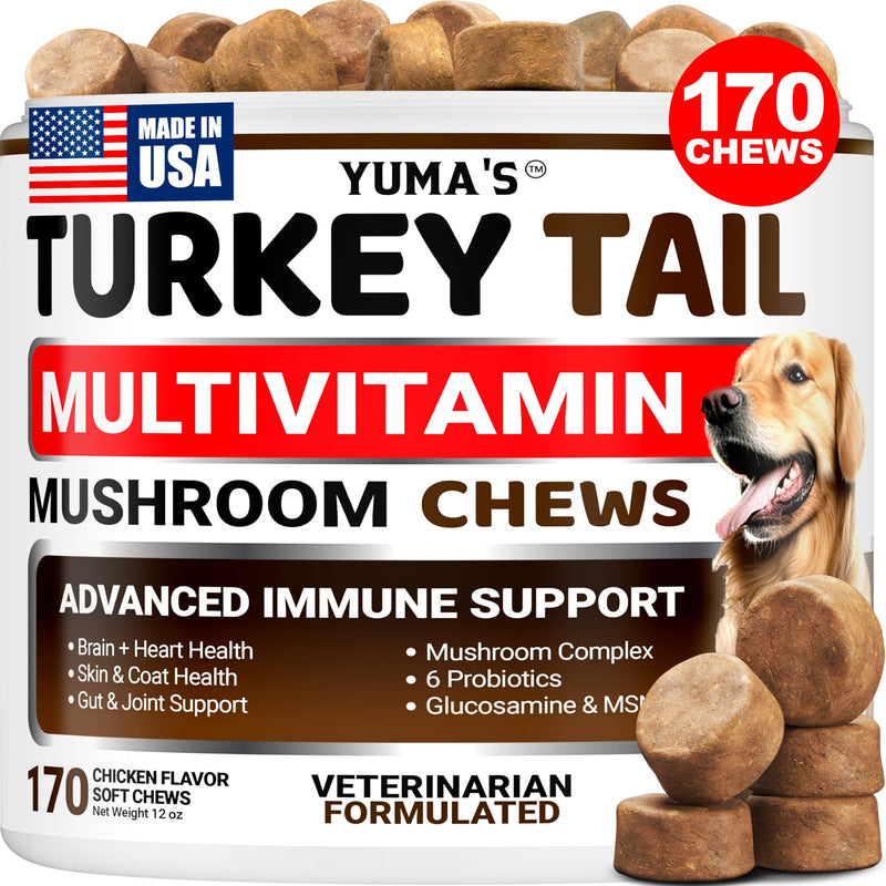 Turkey Tail Mushroom for Dogs - 170 Count - Mushroom Chews for Dogs Lipoma Lumps and Bumps - Immune Health, Digestive, Skin, Energy, Joint Vitamin Support Guard Buddy - Multivitamin Supplement Multivitamin Mushroom Complex 170 Chews