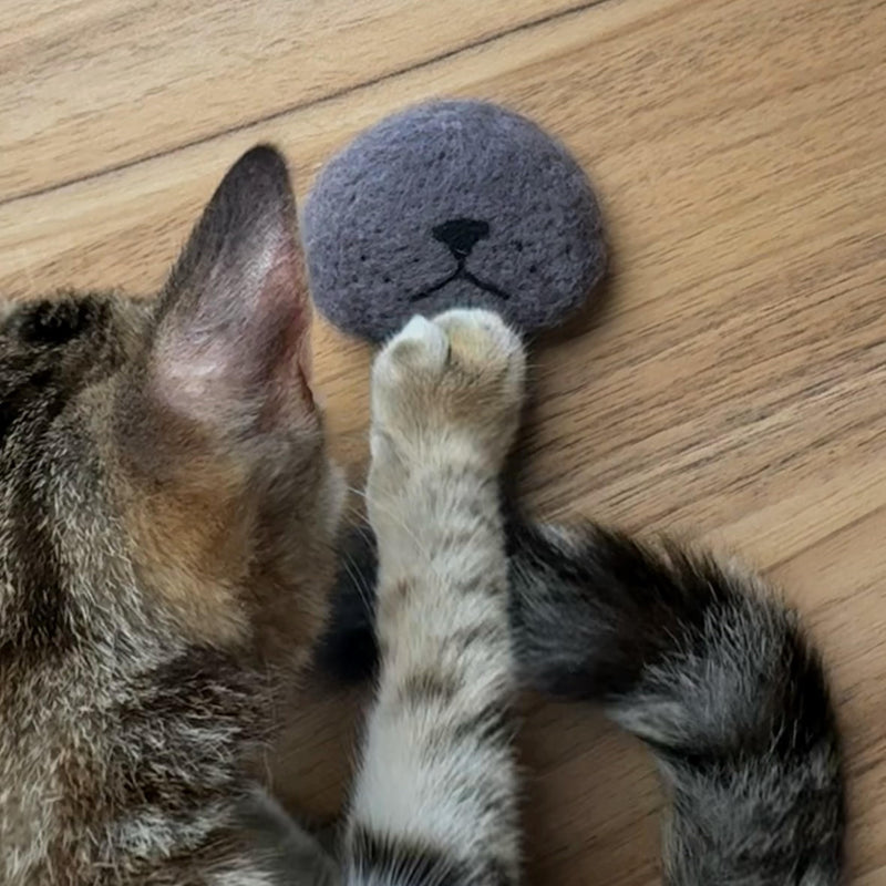 Cat Whiskers Collection,Cat Memorial Fridge Magnet,Handmade Wool Cat's Nose Shape Pet Beard Holder,Collector for cat Whiskers All Gray