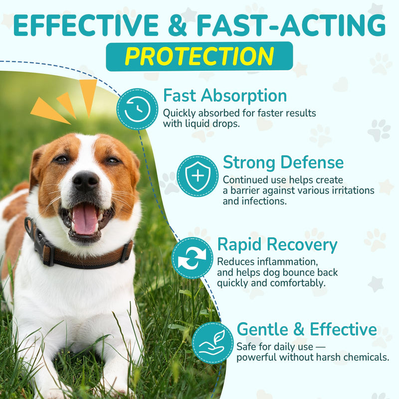 Woyamay Antibiotics for Dogs | Natural Dog Antibiotics for Allergy Relief, Itch Relief, Coughs, Skin Health, Breath Treatment, Digestion | Herbal Supplement to Care for Ears, Eyes & Coat, 2 Fl Oz Bacon 1 Pack