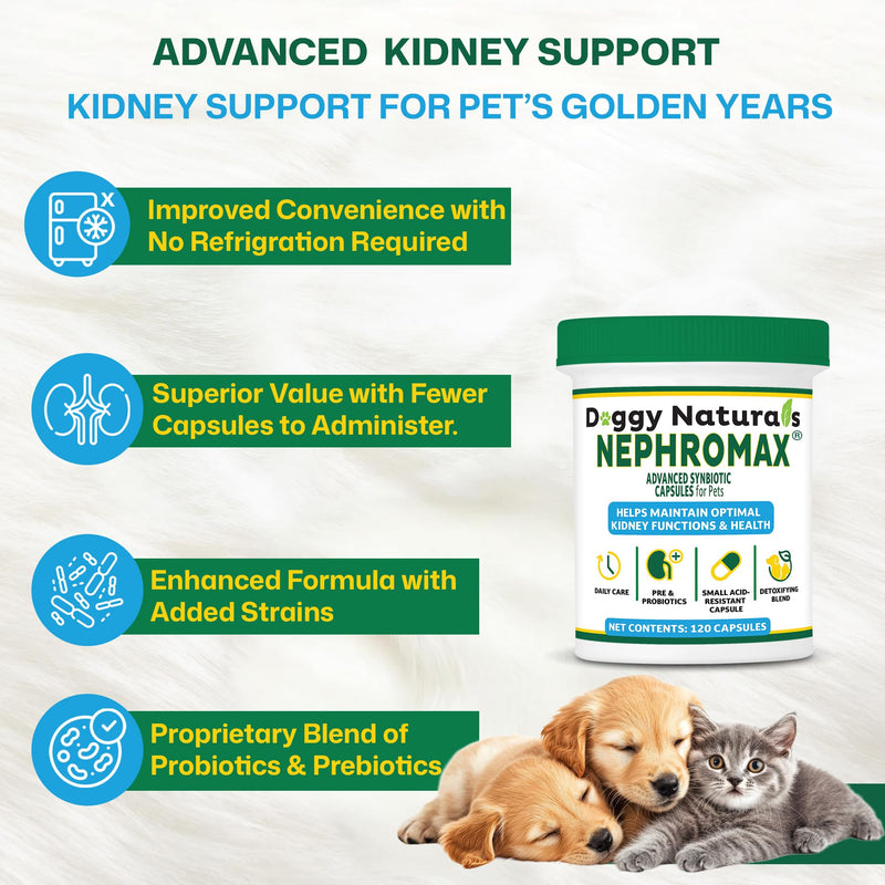 NEPHROMAX™ Synbiotic Capsules for Kidney Support for Dogs & Cats - 36 Billion CFU-Advanced Next-Generation Enteric detoxifying Blend of Pre & Probiotics Kidney Support U.S.A (120 Small Capsules) 120 Caps