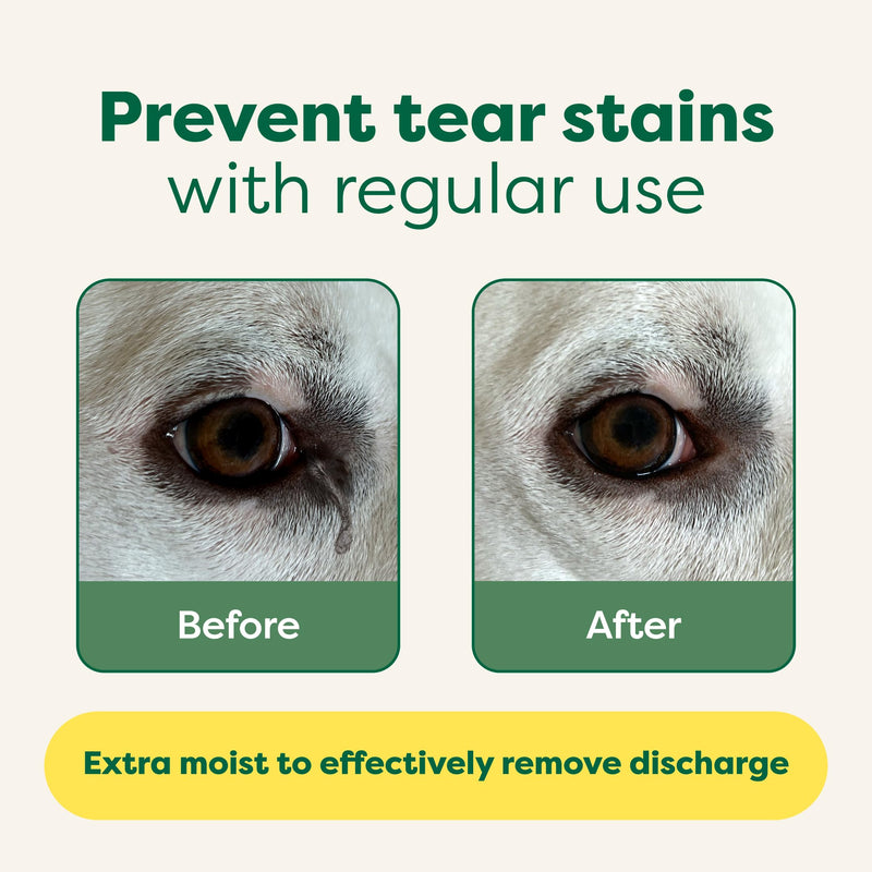 Earth Rated Ultimate Dog Grooming Bundle - Includes Unscented Dog Grooming Wipes, Hypoallergenic Plant Based Dog Ear Wipes, Hypoallergenic Plant Based Dog Eye Wipes - PawsPlanet Australia