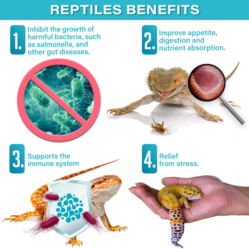 Reptile Probiotics. Improve Appetite, Digestion and Boost Immune System. Supplement 10-12 Pounds of Food with Our 2 Oz Bag. Enjoy! - PawsPlanet Australia