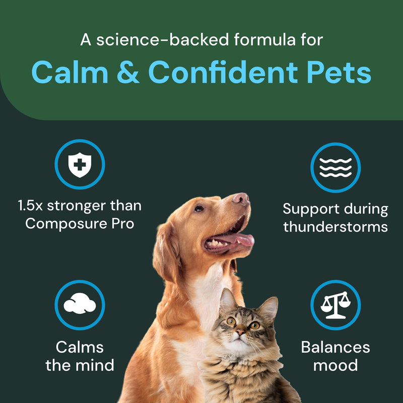 VetriScience Composure Pro Advanced - Advanced Calming Supplement for Dogs & Cats - Calming Aid Soft Chews - Chewable Calming Supplement - Advanced Calming Bite Formula - 45 Chews - PawsPlanet Australia